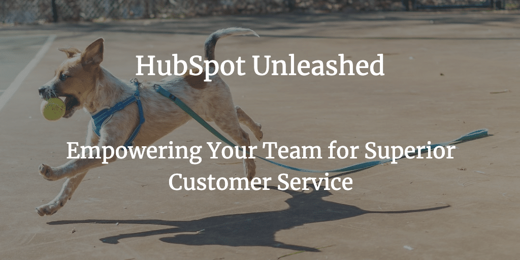 HubSpot Unleashed: Empowering Your Team for Superior Customer Service